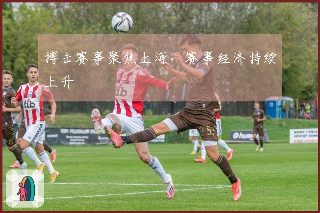 搏击赛事聚焦上海，赛事经济持续上升