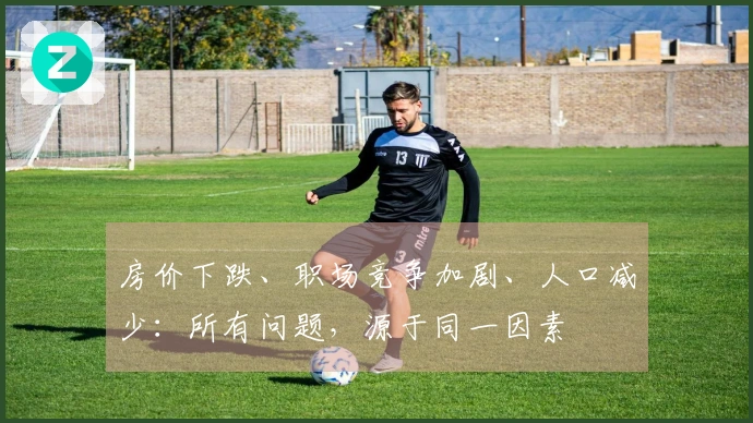 房价下跌、职场竞争加剧、人口减少：所有问题，源于同一因素