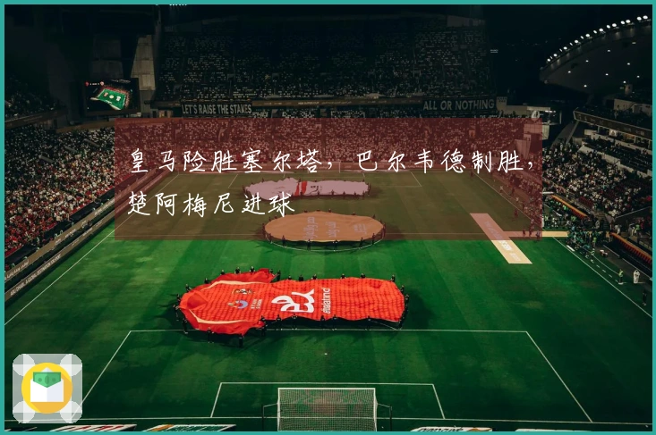 皇马险胜塞尔塔，巴尔韦德制胜，楚阿梅尼进球